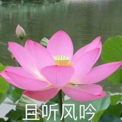 贵州赴江苏推介文旅 邀长三角游客“避暑游”